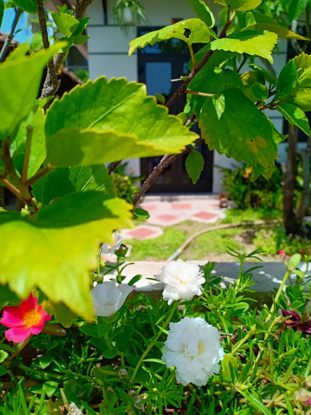 Hoi An Garden Sea Homestay Exteriör bild